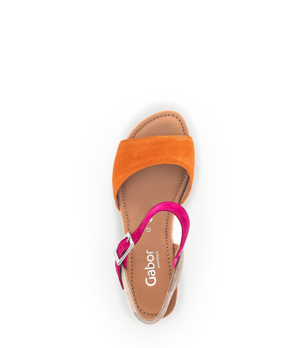 Gabor Nieve 22.042 Ladies Wedge Sandals suede, buckle, wedge heels Colours Ltd, Colours, Colours Farnham, Colours Shoes